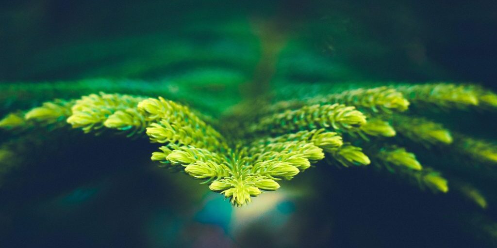 coaching-header--shahadat-rahman-yJ2X-VtsbKA-unsplash-2